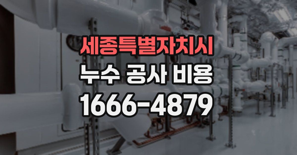 세종특별자치시 누수 공사 비용