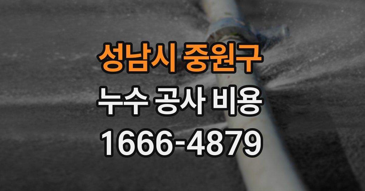 성남시 중원구 누수 공사 비용