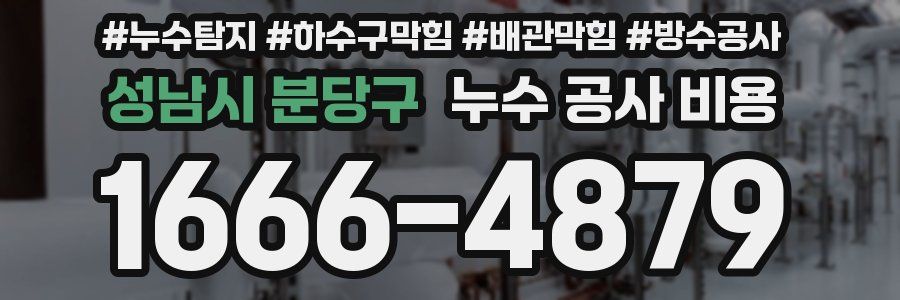 성남시 분당구 누수 공사 비용