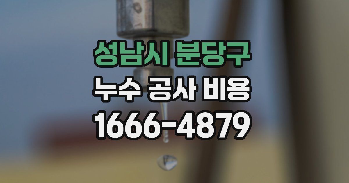 성남시 분당구 누수 공사 비용