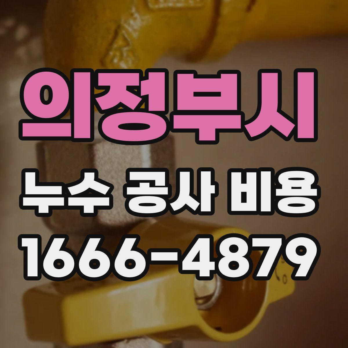 의정부시 누수 공사 비용