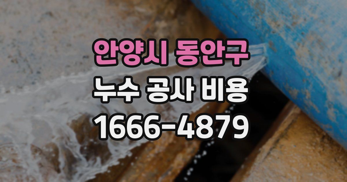 안양시 동안구 누수 공사 비용