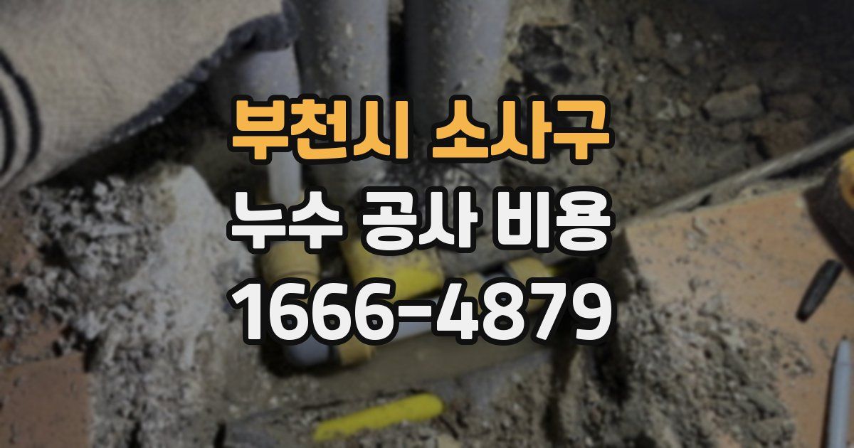 부천시 소사구 누수 공사 비용