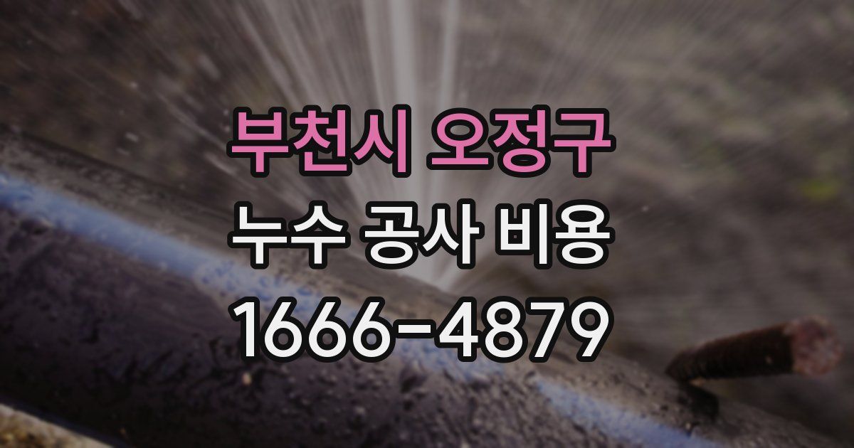 부천시 오정구 누수 공사 비용