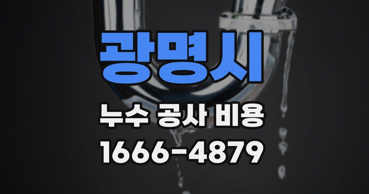 광명시 누수 공사 비용