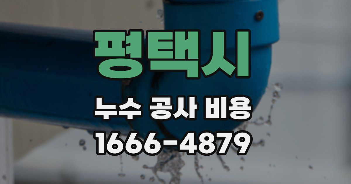 평택시 누수 공사 비용