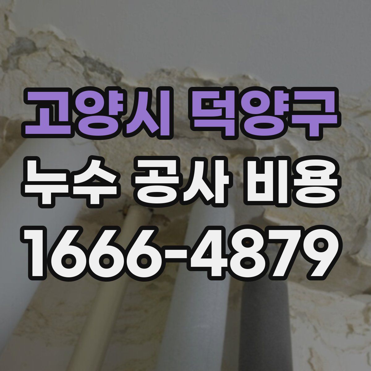 고양시 덕양구 누수 공사 비용