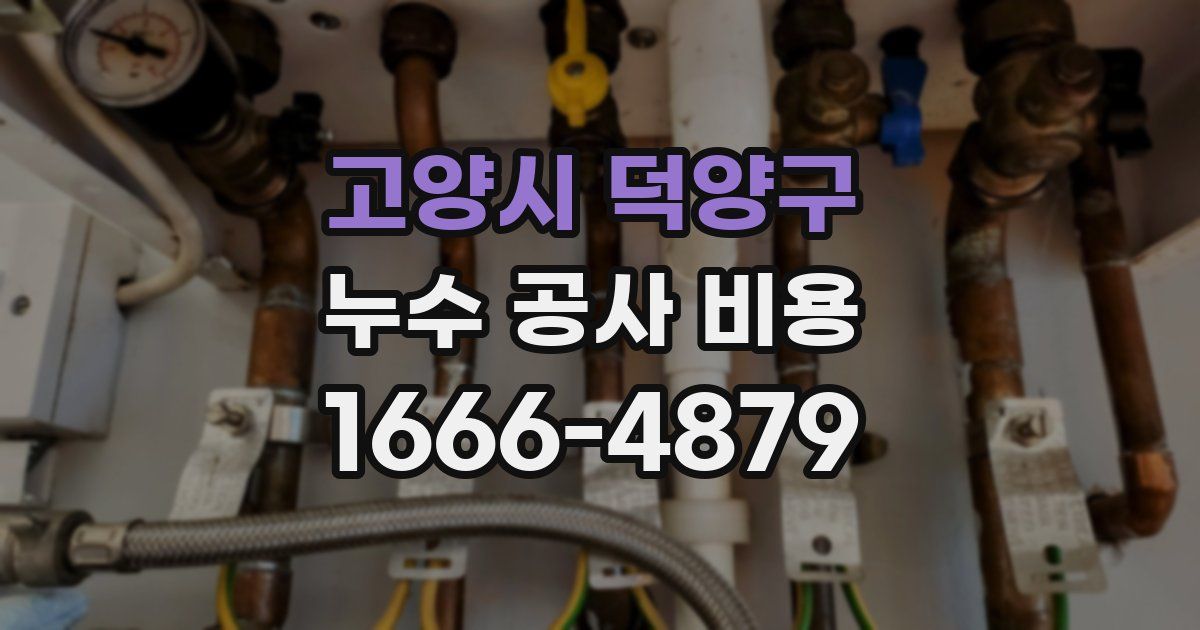 고양시 덕양구 누수 공사 비용