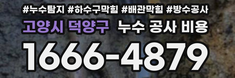 고양시 덕양구 누수 공사 비용