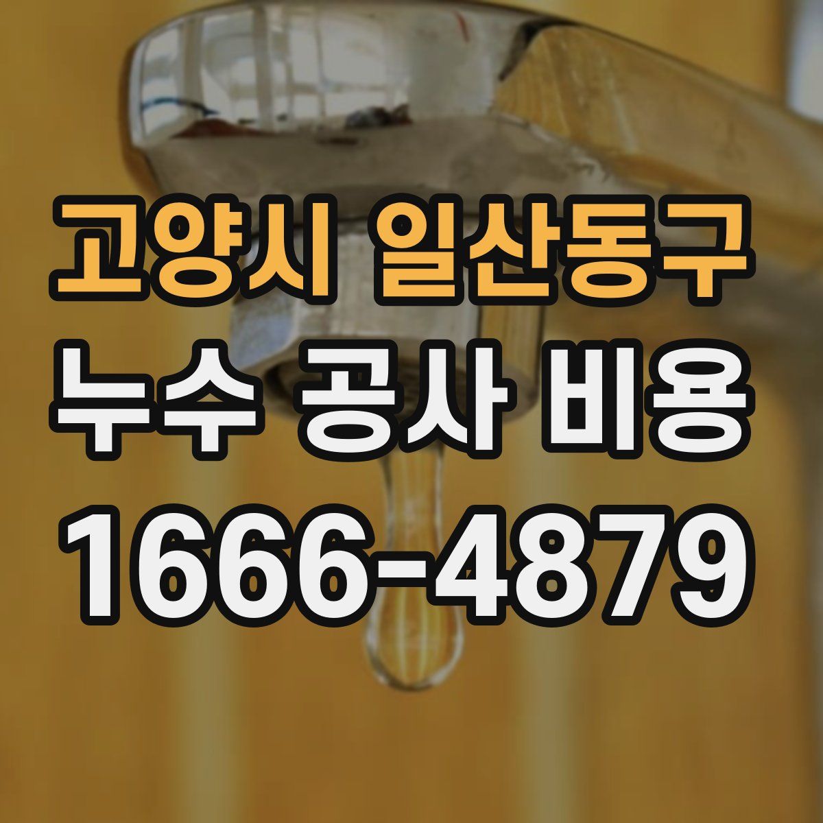 고양시 일산동구 누수 공사 비용