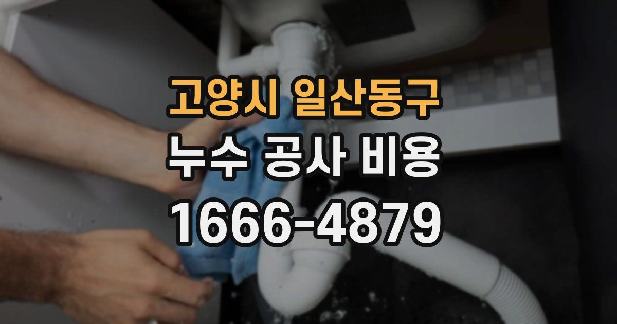 고양시 일산동구 누수 공사 비용