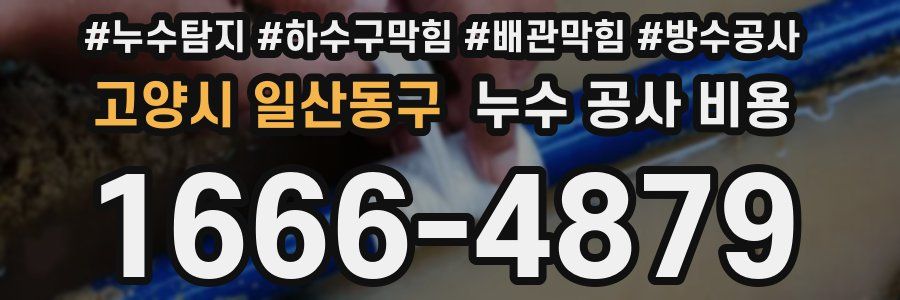고양시 일산동구 누수 공사 비용