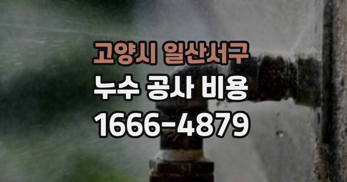 고양시 일산서구 누수 공사 비용