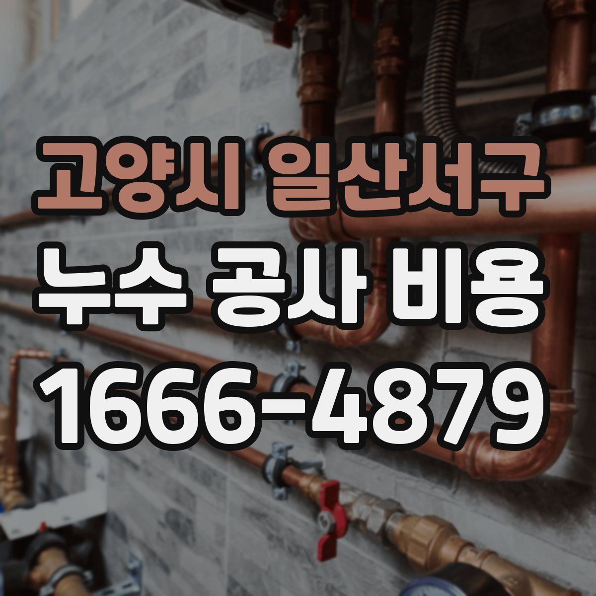 고양시 일산서구 누수 공사 비용