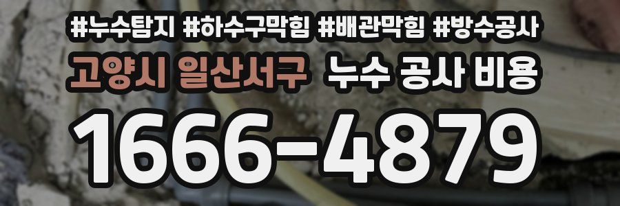 고양시 일산서구 누수 공사 비용