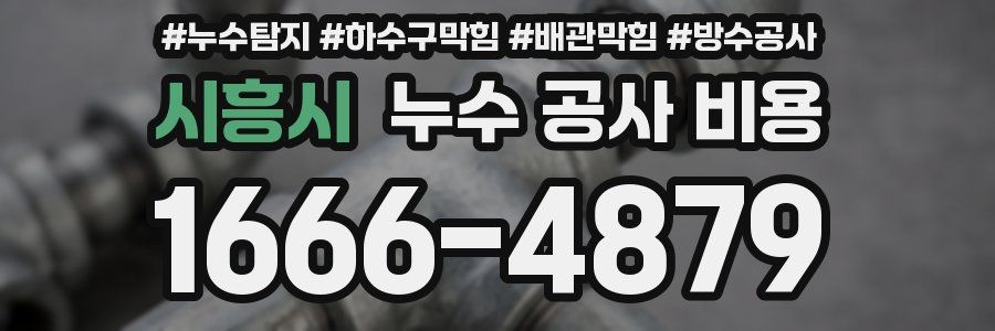 시흥시 누수 공사 비용
