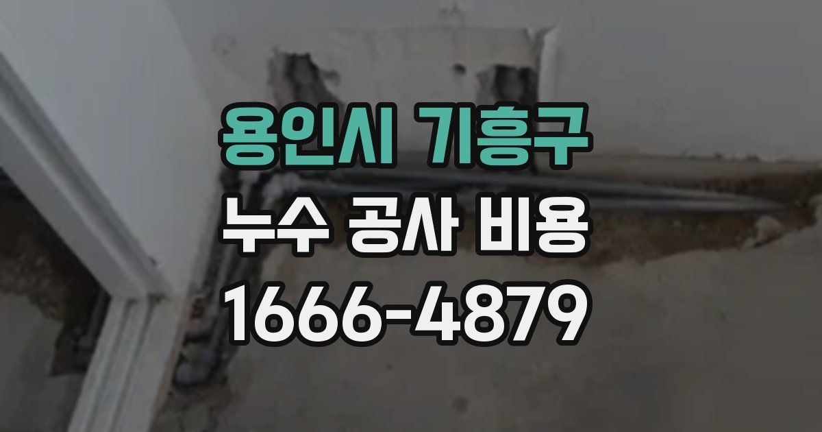용인시 기흥구 누수 공사 비용