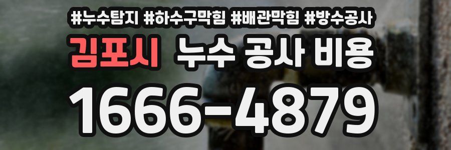 김포시 누수 공사 비용