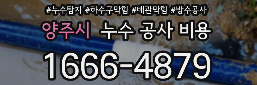 양주시 누수 공사 비용