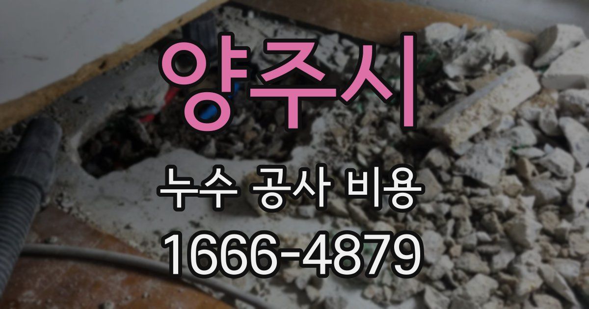 양주시 누수 공사 비용