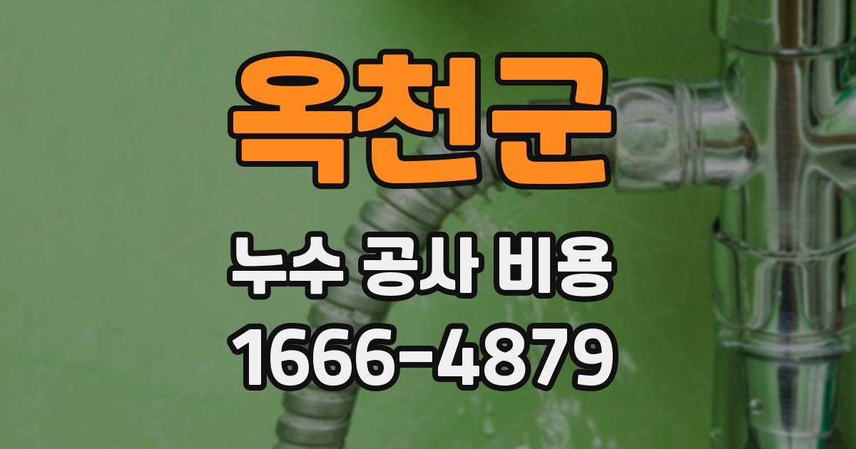 옥천군 누수 공사 비용