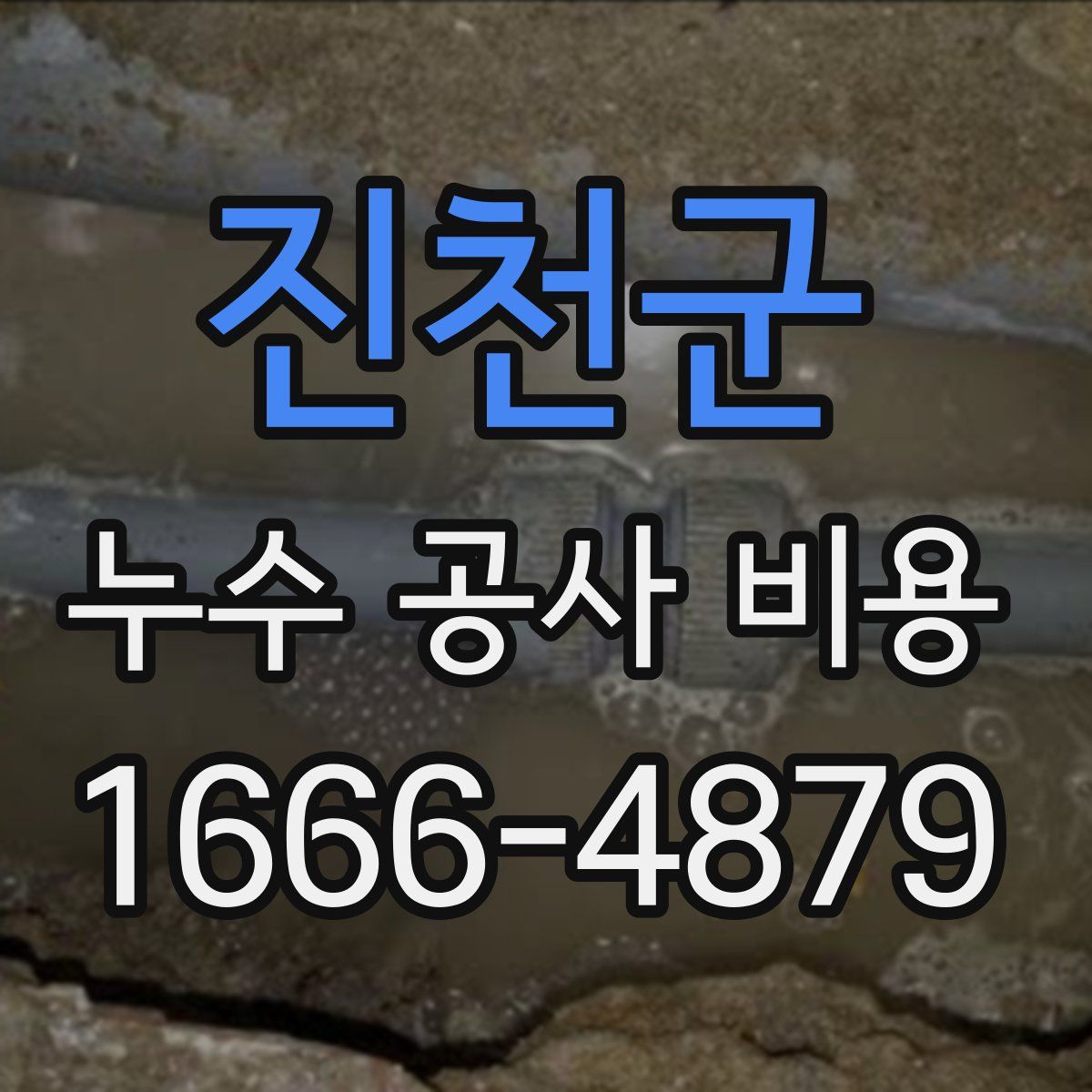 진천군 누수 공사 비용