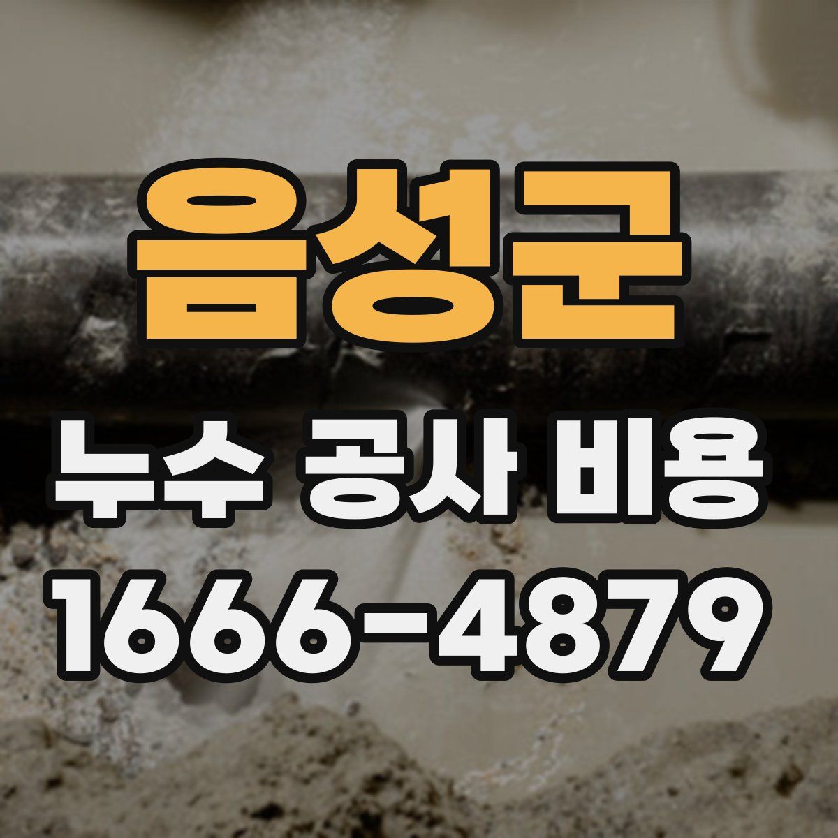 음성군 누수 공사 비용