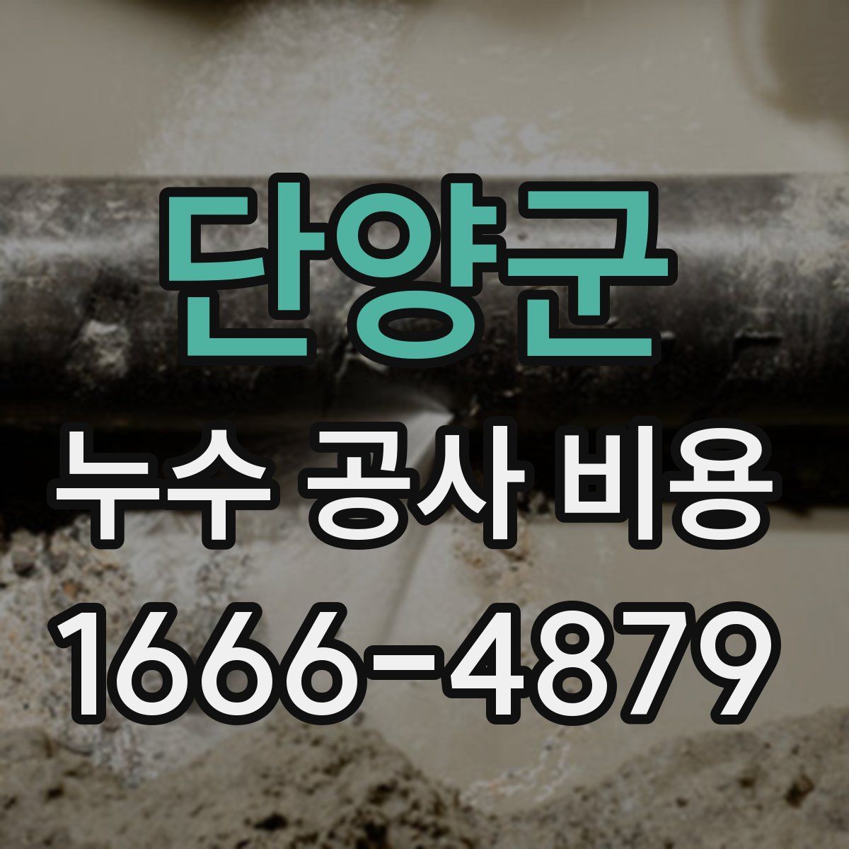 단양군 누수 공사 비용