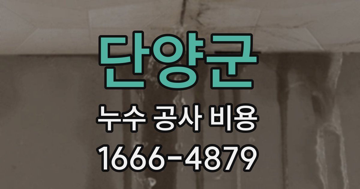 단양군 누수 공사 비용