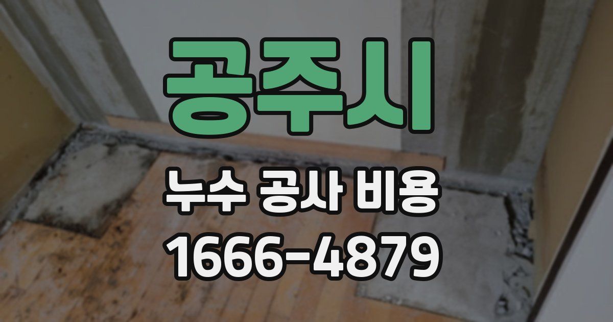 공주시 누수 공사 비용