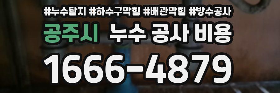 공주시 누수 공사 비용
