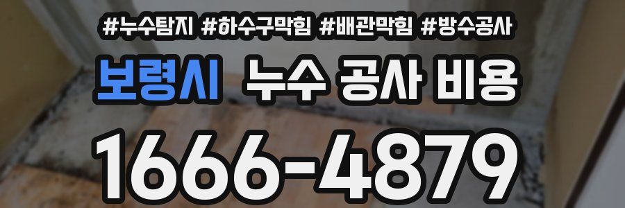 보령시 누수 공사 비용