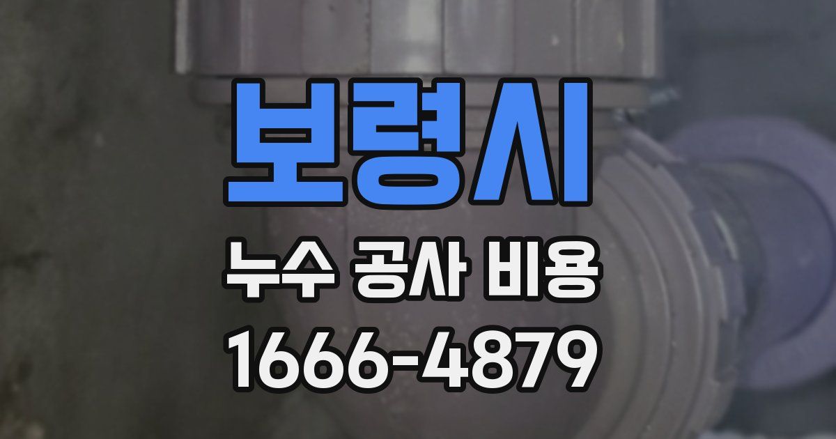 보령시 누수 공사 비용