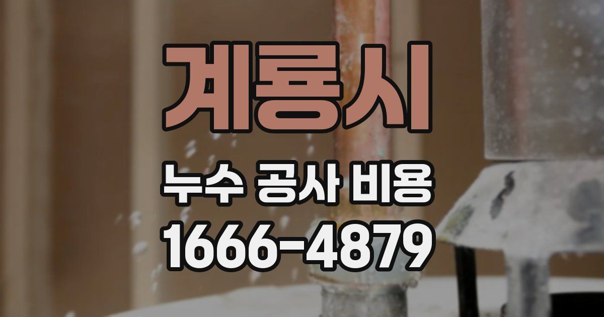 계룡시 누수 공사 비용