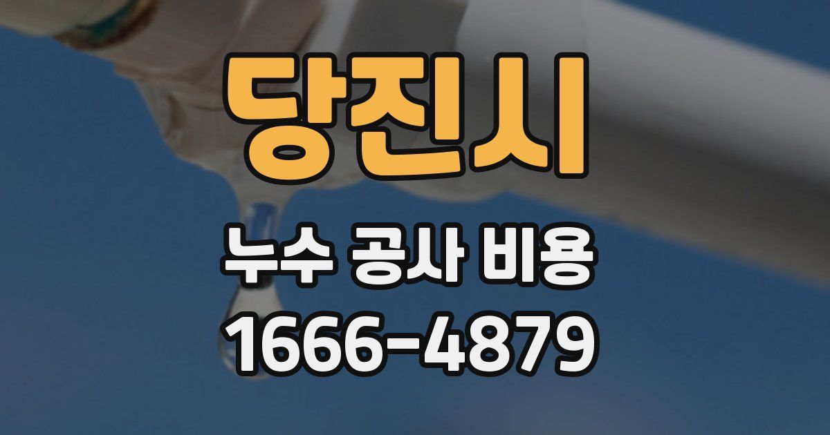 당진시 누수 공사 비용