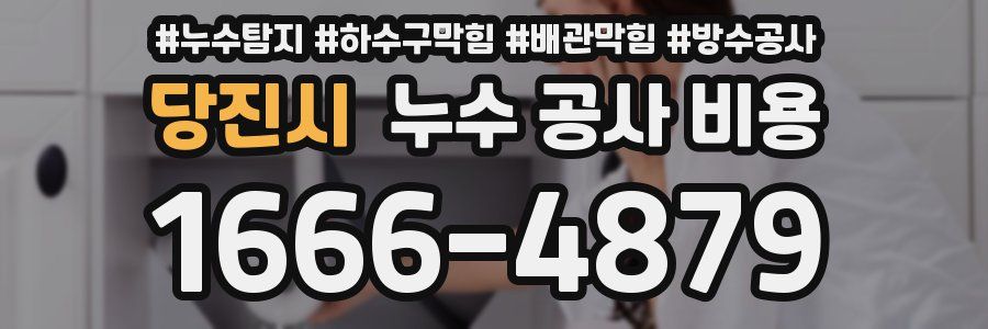 당진시 누수 공사 비용