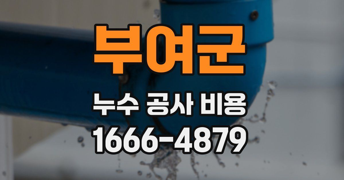 부여군 누수 공사 비용
