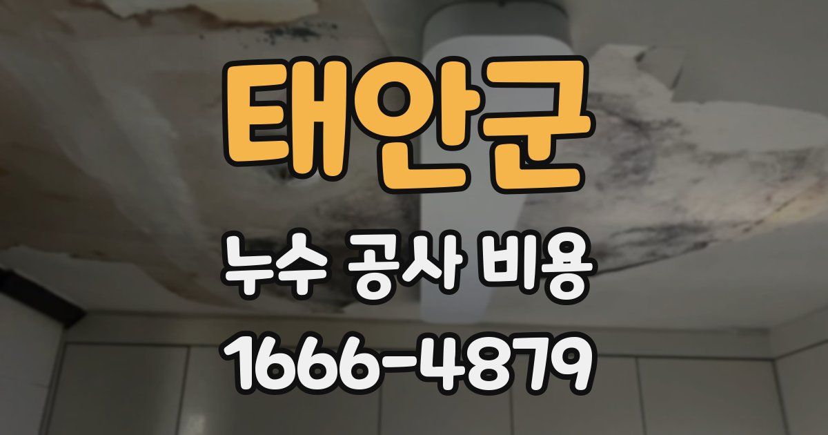태안군 누수 공사 비용