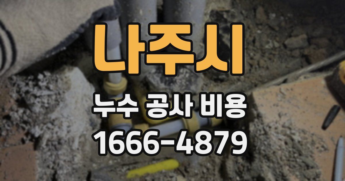 나주시 누수 공사 비용