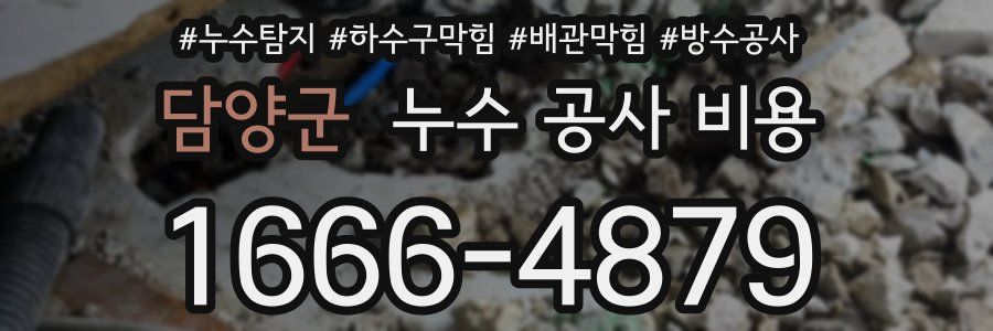 담양군 누수 공사 비용