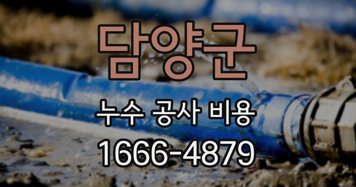 담양군 누수 공사 비용