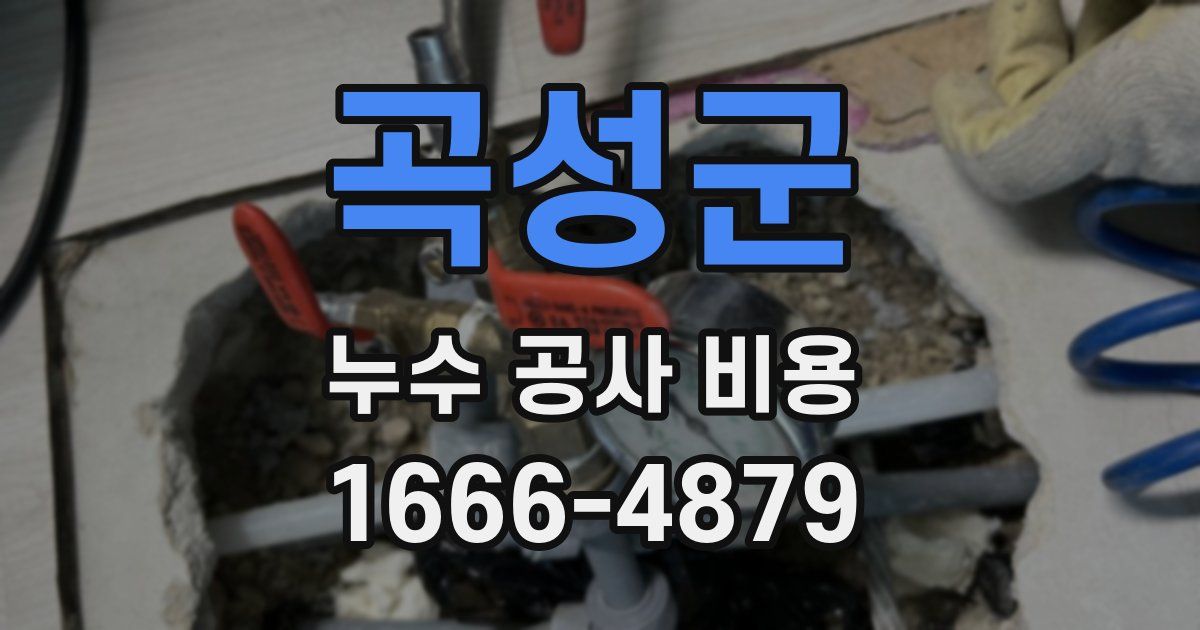 곡성군 누수 공사 비용