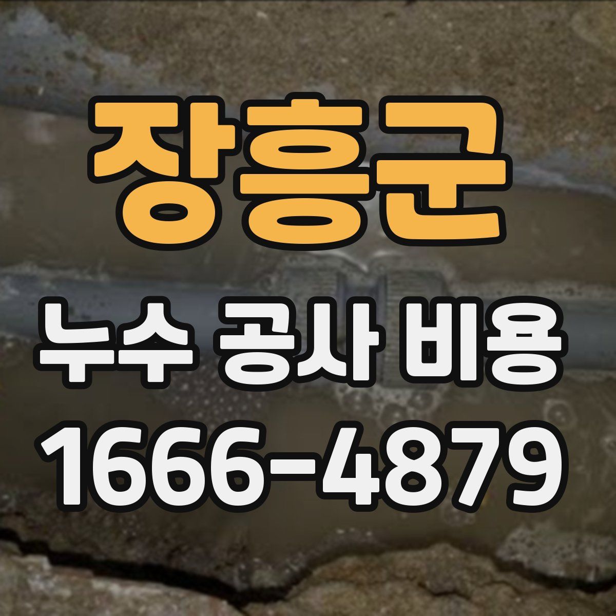 장흥군 누수 공사 비용