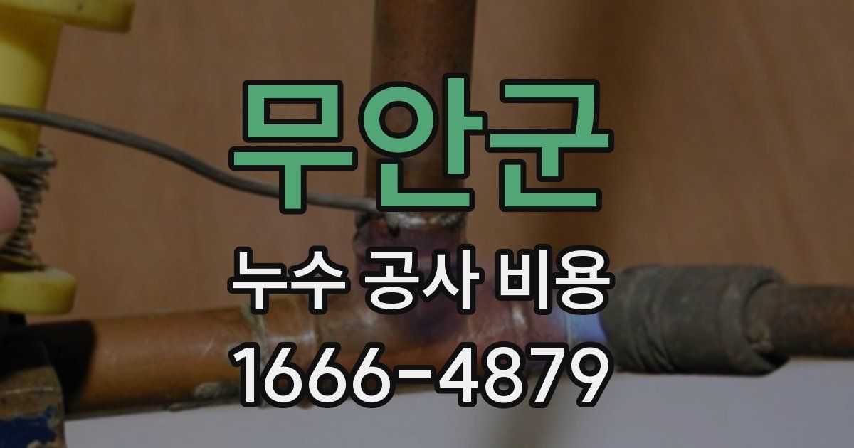 무안군 누수 공사 비용