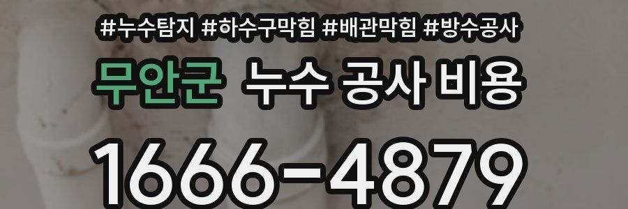 무안군 누수 공사 비용
