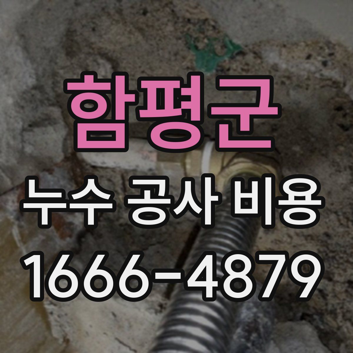 함평군 누수 공사 비용