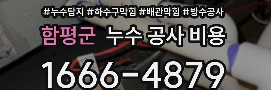 함평군 누수 공사 비용