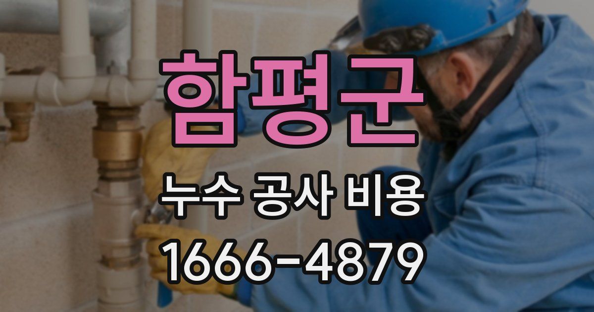 함평군 누수 공사 비용