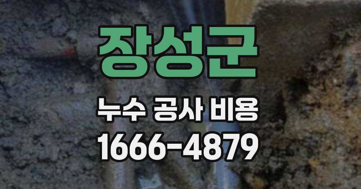 장성군 누수 공사 비용