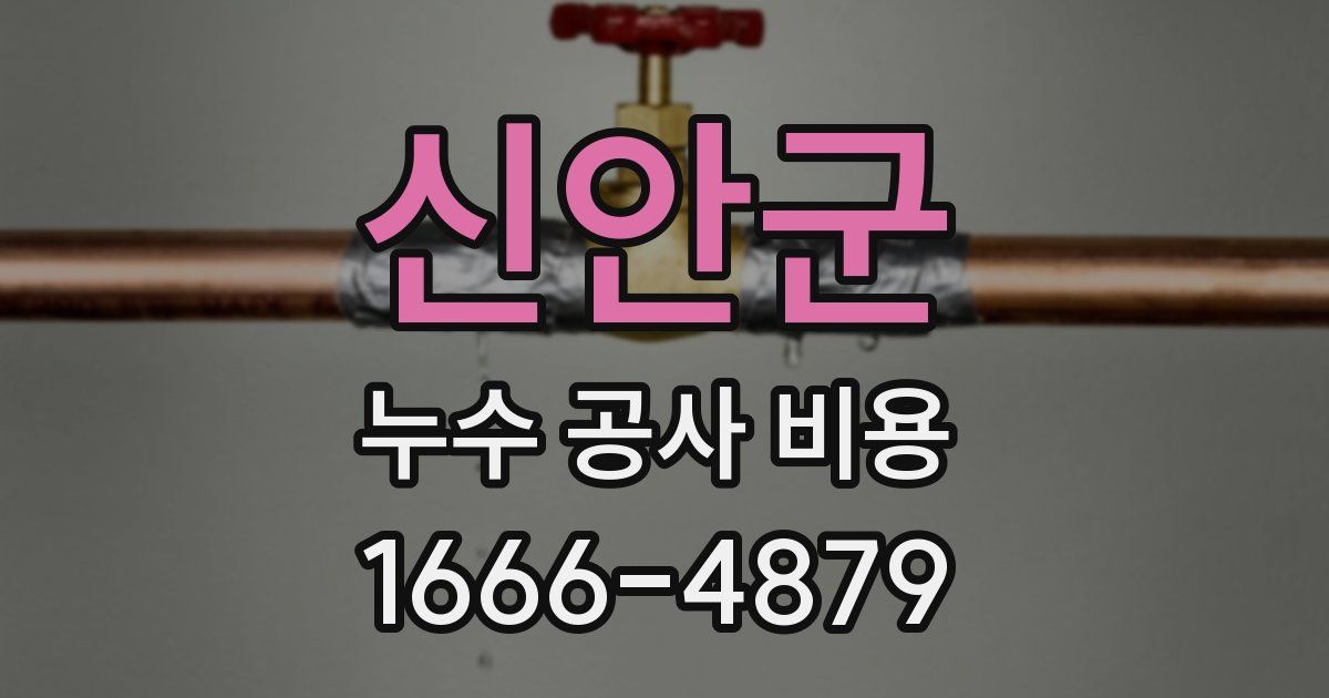 신안군 누수 공사 비용